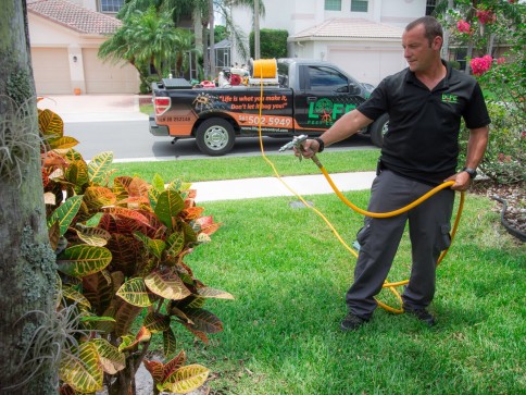 man spraying leaves outside to remove pests