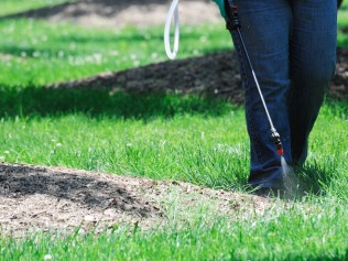 man spraying termite control in yard