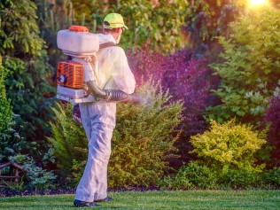 man spraying pest control substance in yard