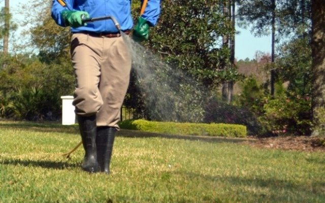 man spraying insecticide on lawn